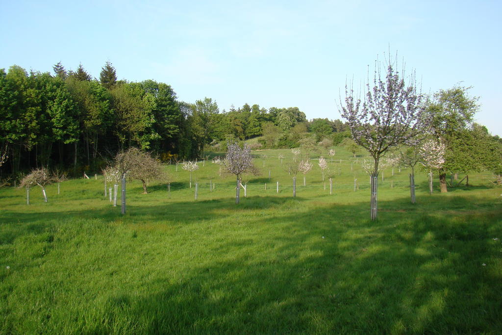Gite De La Cour Campandre-Valcongrain Room photo